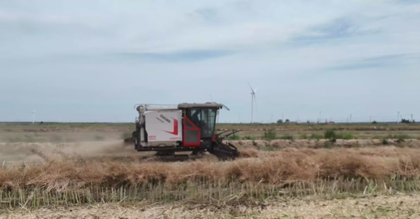 XR720 履帶式谷物聯(lián)合收割機(jī)助力鹽城農(nóng)場(chǎng)收割